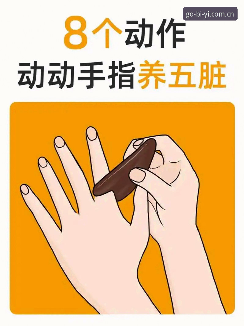 新手上手指南：必一体育操作教程与实战经验分享